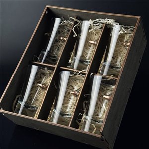 Set of 6 Shot Glasses "Bullet"