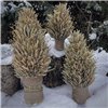 Christmas Didukh "Christmas Tree" from Wheat Ears and Flax, Holiday Protective Ornament, 50 cm