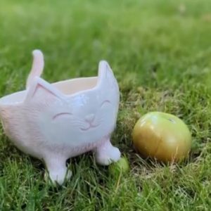 Скринька "Которілочка"