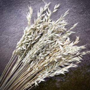 Selected Flax Stems, 100 pcs/pack, Natural Dried Flowers for Decor and Floristry