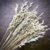 Selected Flax Stems, 1000 pcs/pack, Natural Dried Flowers for Decor and Floristry