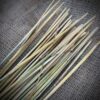 Selected Rye Straw, 10000 pcs/pack, Natural Dried Flowers for Decor and Floristry