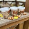 Tea Mug “Warm Nut”