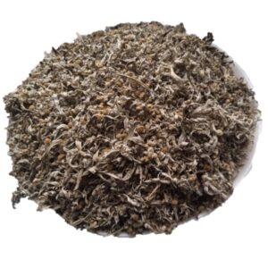 5 kg Wormwood Herb (Artemisia absinthium)
