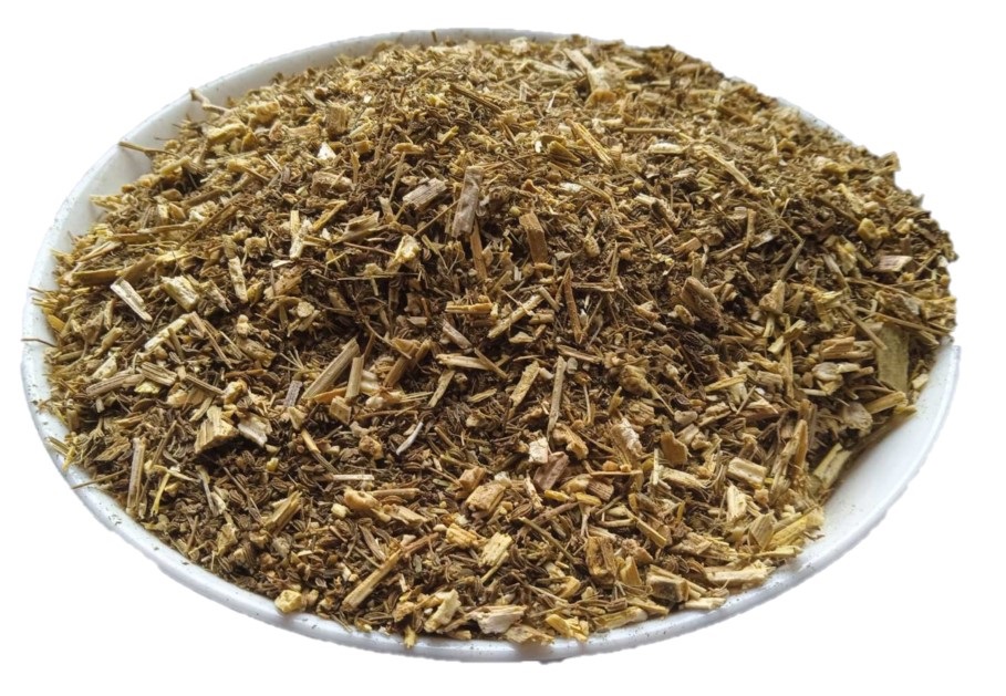5 kg Poison Hemlock Herb (Conium maculatum)