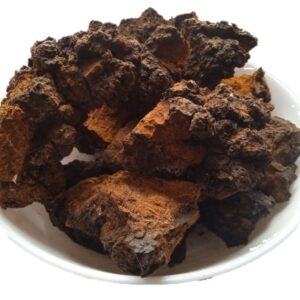 5 kg Chaga Mushroom (Inonotus obliquus)