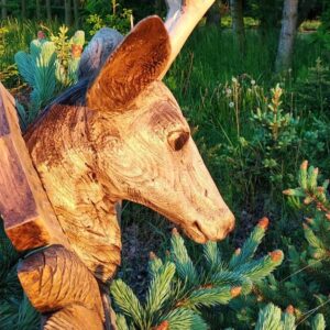Spirit of the Forest - Roe Deer Head