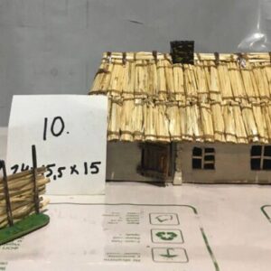 Taras House Variant