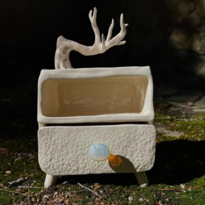 Box "Wish Tree"