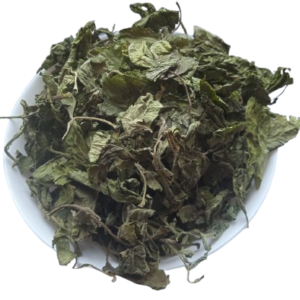 5 кг бузина чорна листя бездерево sambucus nigra