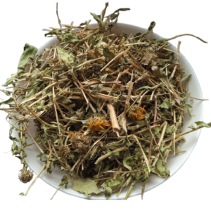 5 кг гринделія трава grindelia squarrosa