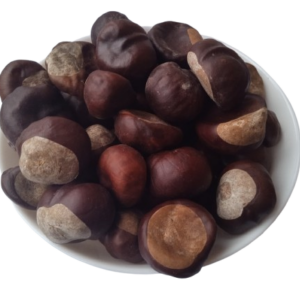 5 кг каштан плоди гіркокаштан Aesculus hippocastanum