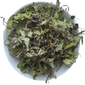 5 кг ваточник сирійський трава asclepias syriaca