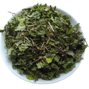 5 кг Розхідник трава Будра Собача мята Glechoma hederacea